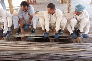 Al Ain: Full-Day Tour from Dubai