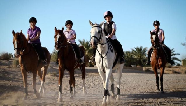 Al Sahra Desert Resort Equestrian Centre