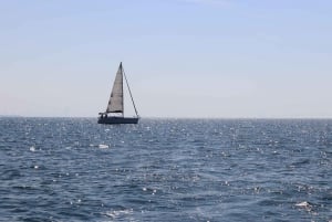 3-timers privat sejltur i Dubai med udsigt til Burj Khalifa