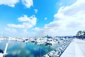 3-timers privat sejltur i Dubai med udsigt til Burj Khalifa