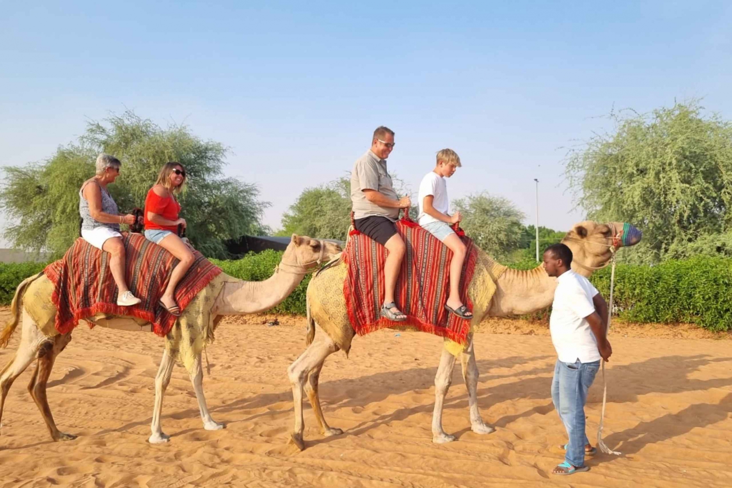passeio de camelo