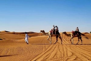 Randonnée à dos de chameau