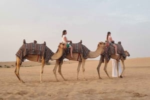 Excursión en camello