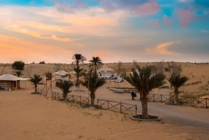 Dubai: 4x4 Authentic Desert Safari with Camel Ride & Dinner