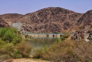 Desert Drive & Wadi Shawka Pool Visit