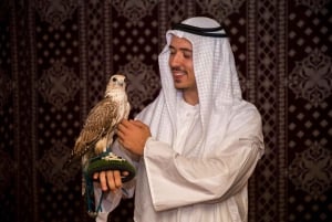 Ørkensafari i Dubai med kameltur, sandboarding og middag