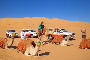 Aavikkosafari: Dyyniajelu, leiri ja live-esitykset