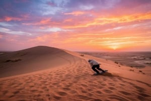 Desert Safari With Camel Ride, Sandboarding, Dinner & Shows