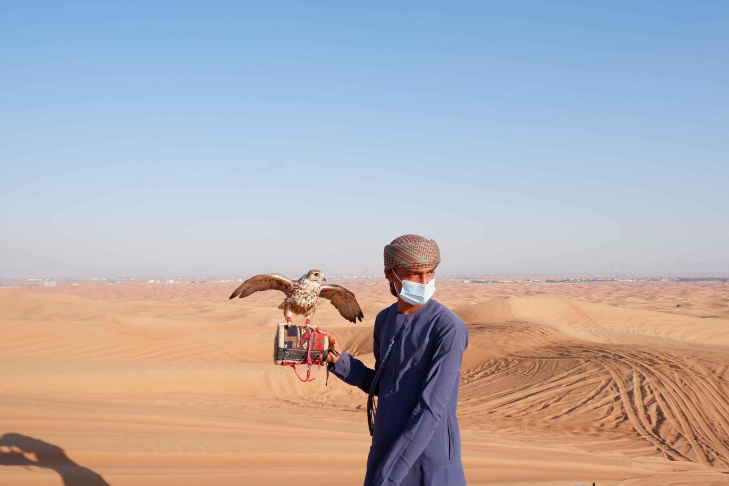 Dubai: Tour with BBQ Dinner, Camel Ride, & Traditional Show