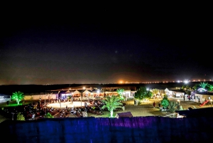 Dubai: Tour with BBQ Dinner, Camel Ride, & Traditional Show
