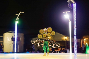 Dubai: Tour with BBQ Dinner, Camel Ride, & Traditional Show