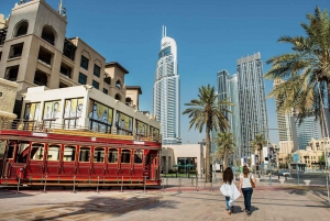 Discover Dubai Half day Live Guided Tour