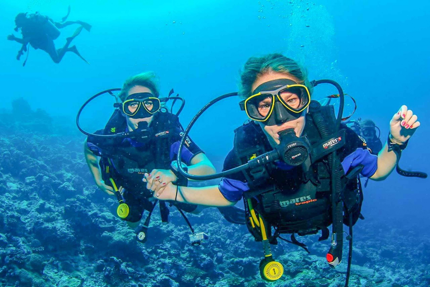 Discover Scuba Diving in Dubai