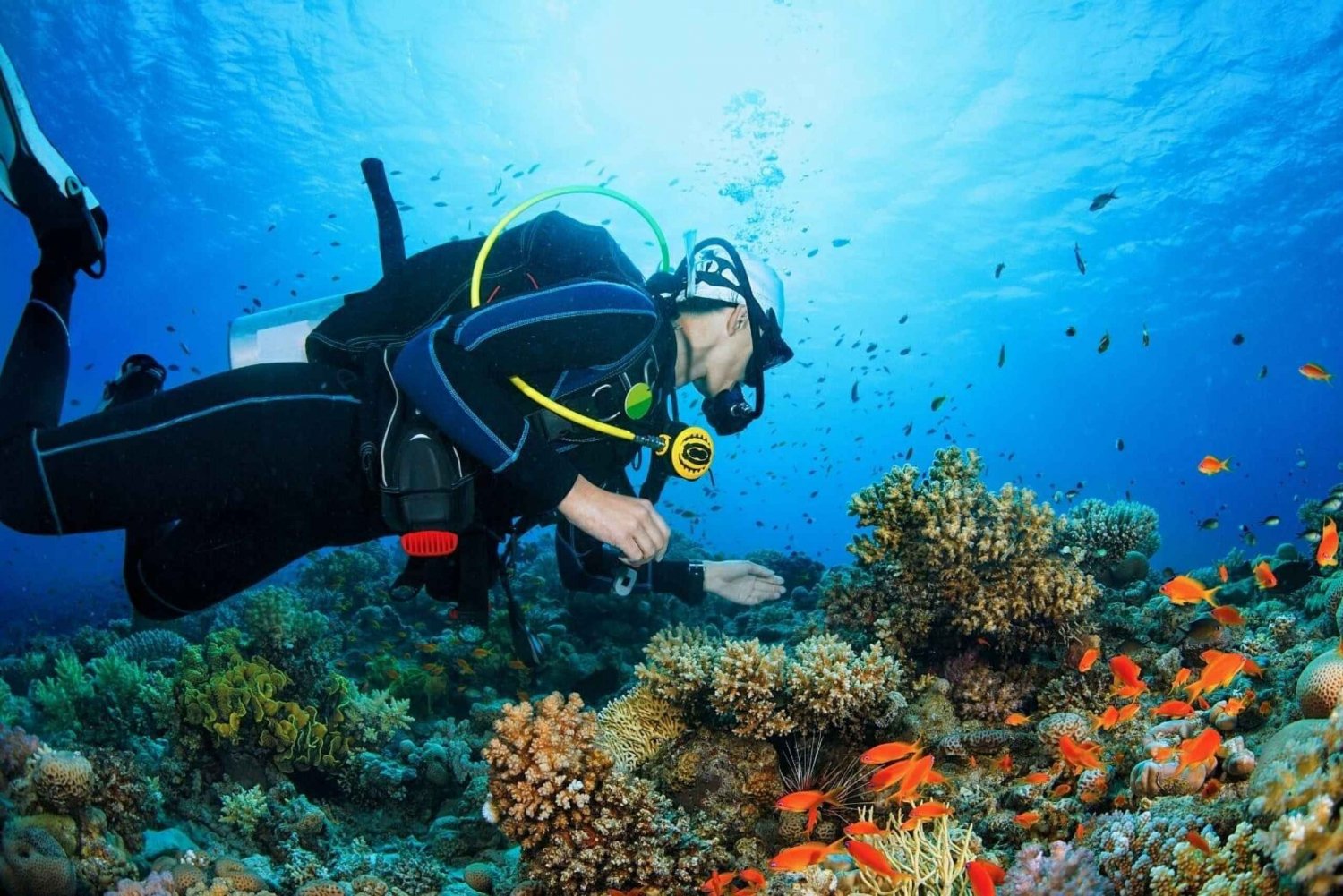 Scoprire le immersioni subacquee - EAU