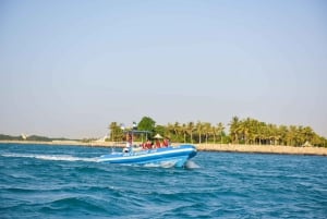 Dubai: 1,5 uur met speedboot Marina, Atlantis & Burj Al Arab