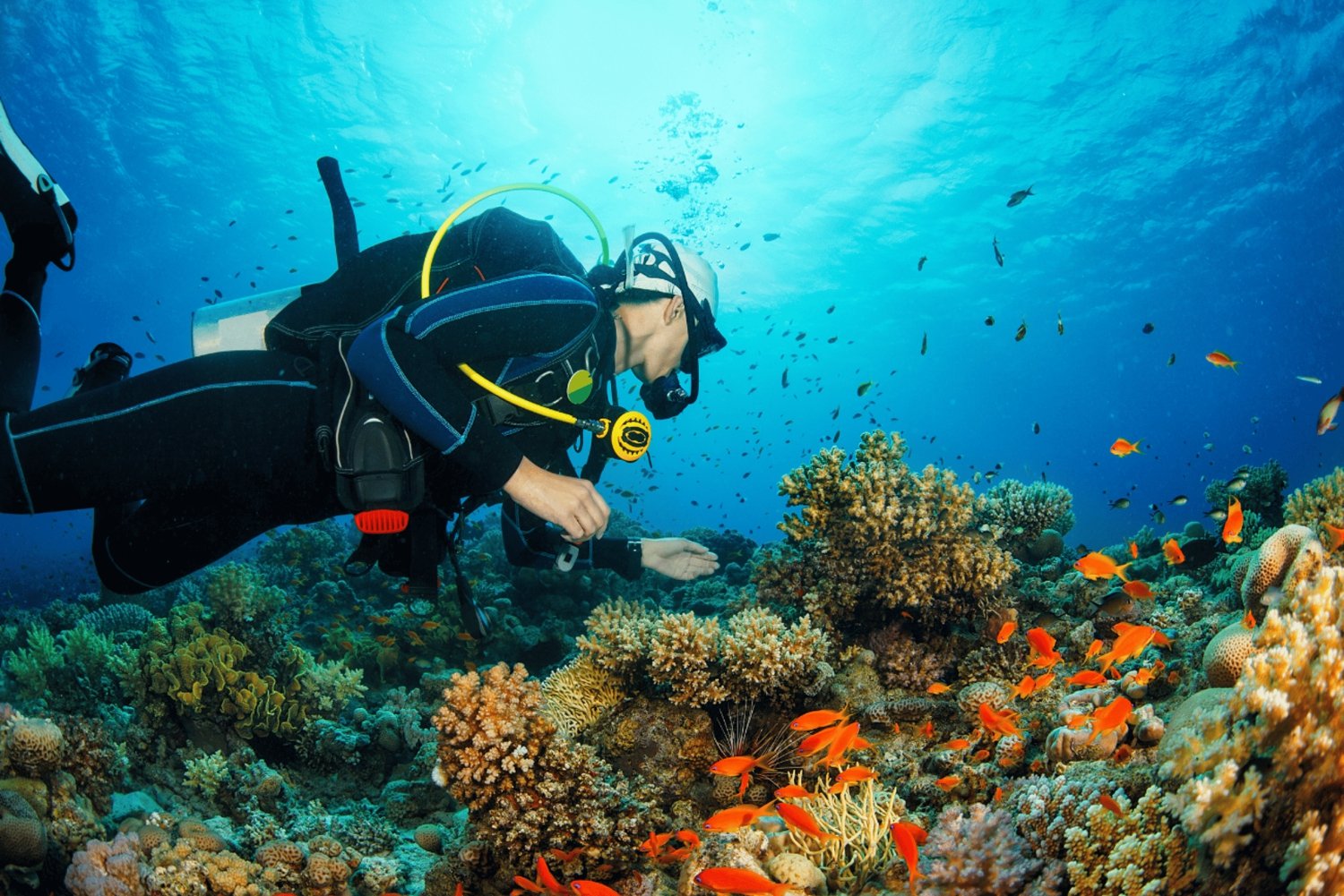 Dubai: 2-dages PADI Advanced Open Water kursus i Fujairah: 2-dages PADI Advanced Open Water kursus i Fujairah