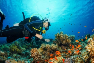 Dubai: 2-Day PADI Advanced Open Water Course in Fujairah