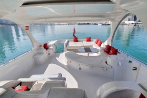 Dubai: 2 Hour Private Sightseeing Yacht with Soft Drinks