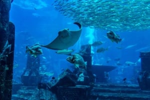 Dubai: 3 Day Hop-On Hop-Off Bus Tour and Dubai Aquaventure