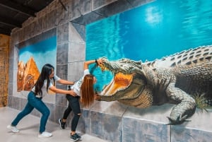 Dubai: 3D World Selfie Museum Entrance
