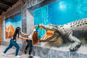 Dubaï : entrée au 3D World Trick-Art Museum