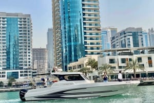 Dubaï : Croisière de pêche en haute mer de 4 heures