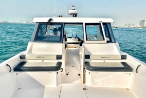 Dubai: cruzeiro de pesca em alto mar de 4 horas