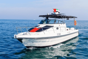 Dubai: 4 timers dybhavsfiskeri, trolling, casting