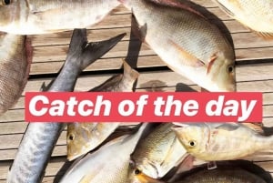 Dubaï : Excursion privée de 4 heures de pêche en haute mer