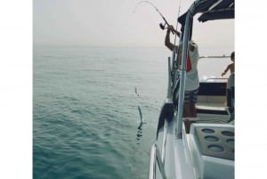 Dubai: viaggio di pesca d'altura privato di 4 ore