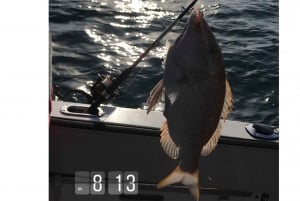 Dubai: 4-Hour Private Deep Sea/Trolling Fishing Trip