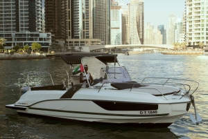 Dubai: 4 Uur privé diepzee/trolling vistocht