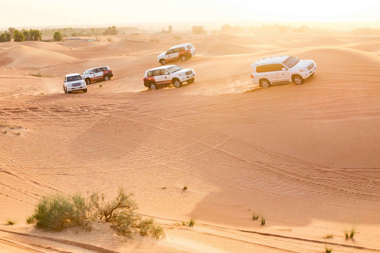 Dubai: woestijnsafari in 4x4 met BBQ-diner en liveshow