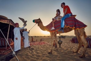 Dubai: 5-daagse hop-on-hop-off-bustour, cruise, aquarium en woestijn tour