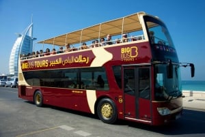 Dubaï : 5 jours de bus à arrêts multiples, croisière, aquarium et visite du désert