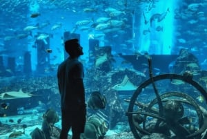 Dubai: Tour Hop-on, Hop-off, crociera, acquario e deserto di 5 giorni