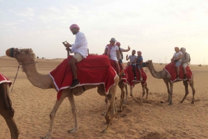 Dubai: Desert Camel Ride with Live Shows & BBQ Buffet Dinner