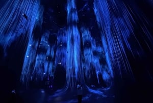 Dubai: Abu Dhabi Full day Guided Trip with Top Attractions