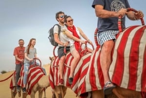 Dubaj: Przygodowe safari na quadach, przejażdżka na wielbłądzie i przekąski