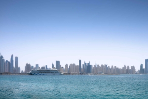 Dubai: Ain Dubai Views Plus Entry Ticket