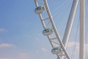 Dubai: Ain Dubai Views Plus Entry Ticket