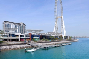 Dubai: Ain Dubai Views Plus Entry Ticket