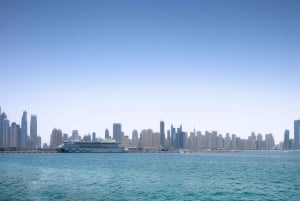 Dubai: Bilhete Standard para as vistas da Ain Dubai