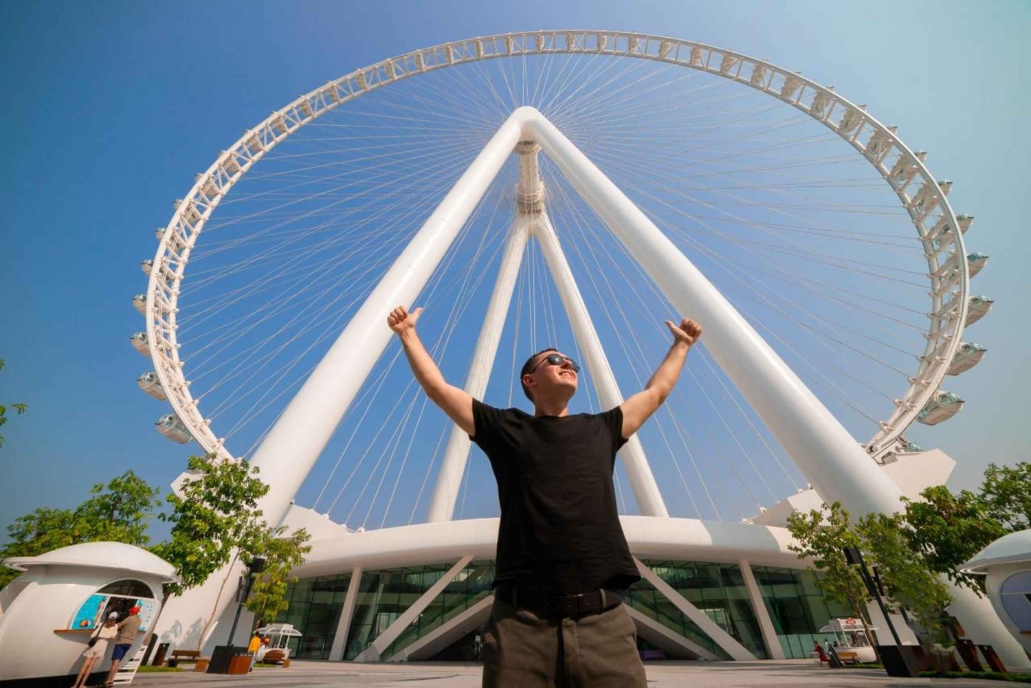 Dubai: Ain Dubai Wheel, Blue Mosque & Half-Day Guided Tour