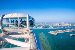 Dubai: Ain Dubai Wheel, Blue Mosque & Half-Day Guided Tour