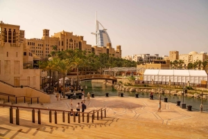 Dubai: Ain Dubai Wheel, Blue Mosque & Half-Day Guided Tour