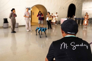 Dubai: Ain Dubai Wheel, Blue Mosque & Half-Day Guided Tour