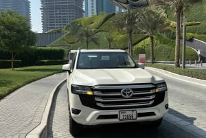 Privat transfer enkel väg till eller från Dubais flygplats