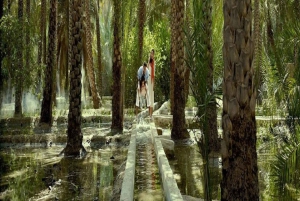 Dubai: Al Ain Garden City with Conservation Zoo