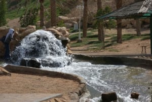 Al Ain Garden City met Conservation Zoo